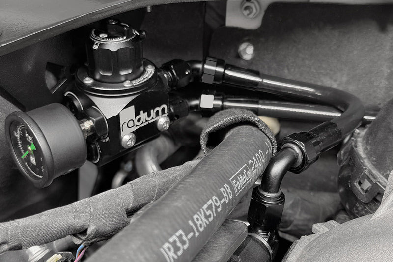 Radium Engineering Radium Engineering Fuel Hanger Plumbing Kit with Microglass Filter, Ford Mustang (2015-2017), product image, part 20-1816-05