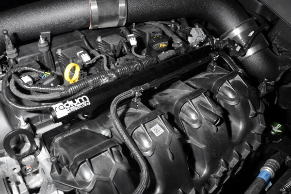 Radium Engineering Radium Engineering Port Injection Kit, EcoBoost, product image, part 20-0326