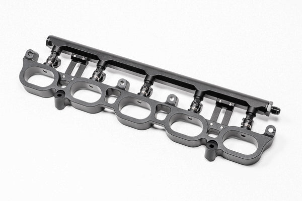 Radium Engineering Radium Engineering Port Injection Fuel Rail Kit - Audi R8 V10 06-15/Lamborghini Gallardo 08-13, product image, part 20-0865