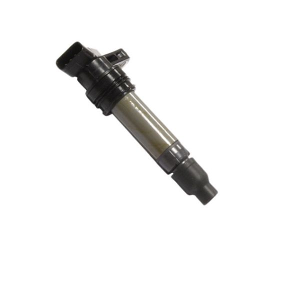 AFI C9545 Ignition Coil