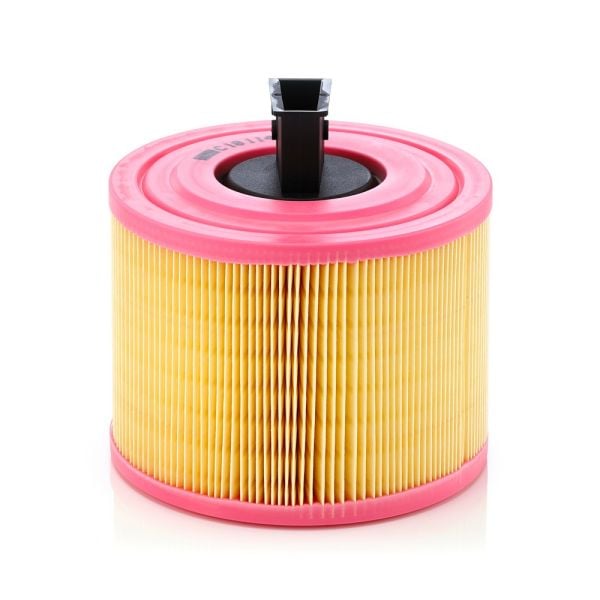 Mann C18114 Air Filter