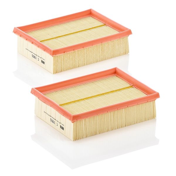 Mann C1955-2 Air Filter