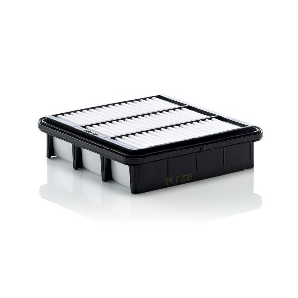 Mann C2029 Air Filter