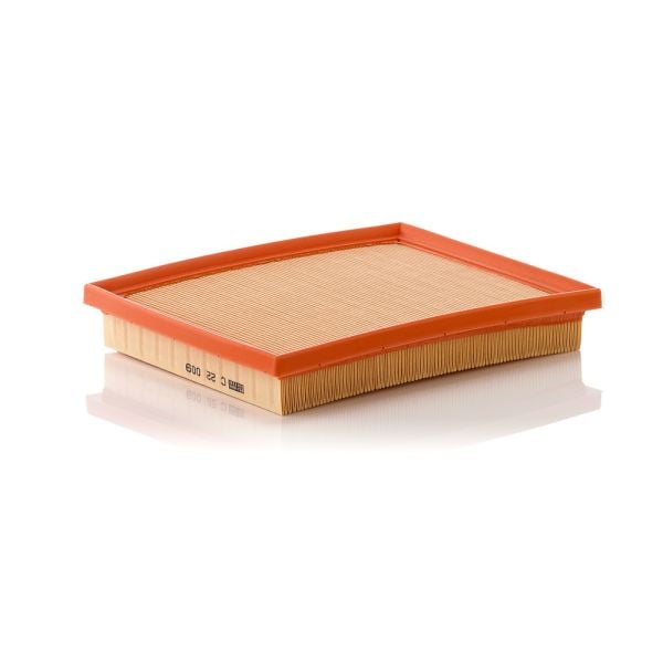 Mann C22009 Air Filter