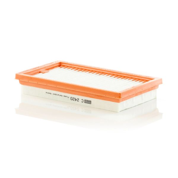 Mann C2420 Air Filter