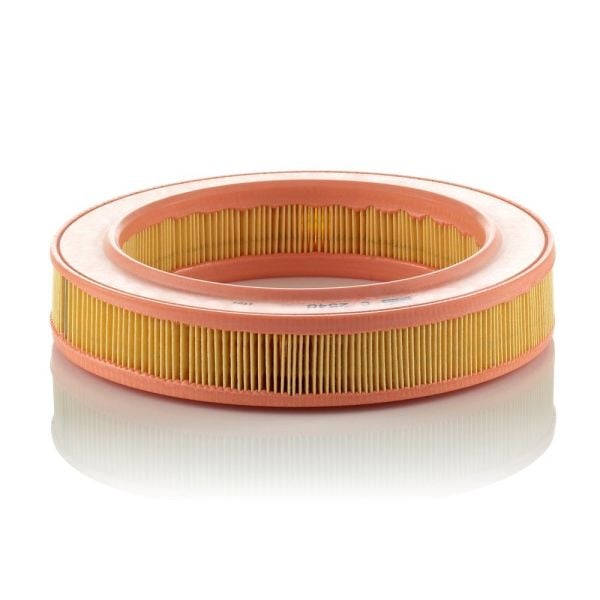 Mann C 2540 Air Filter