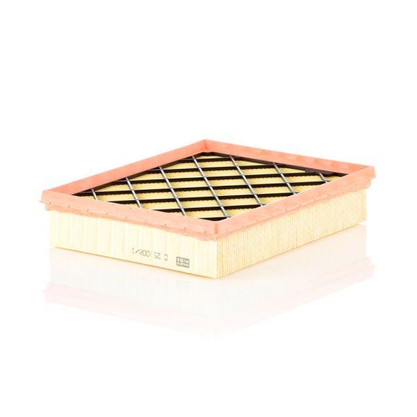 Mann C25008/1 Air Filter