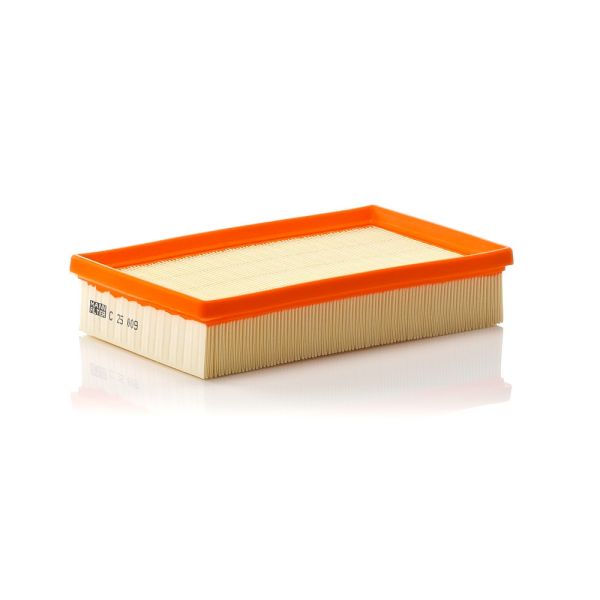 Mann C25009 Air Filter