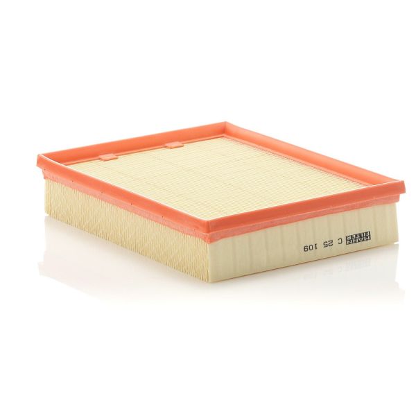 Mann C25109 Air Filter