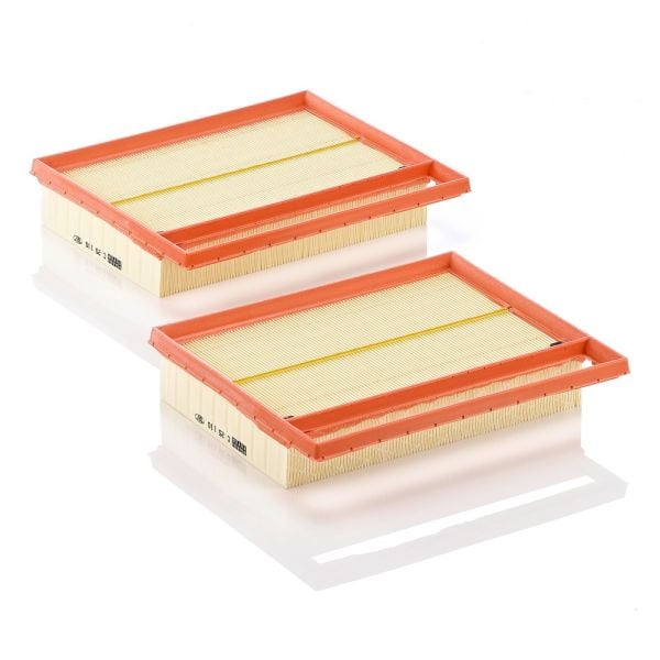 Mann C25110-2 Air Filter