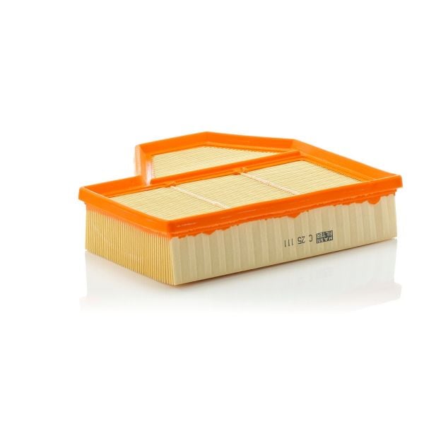 Mann C25111 Air Filter