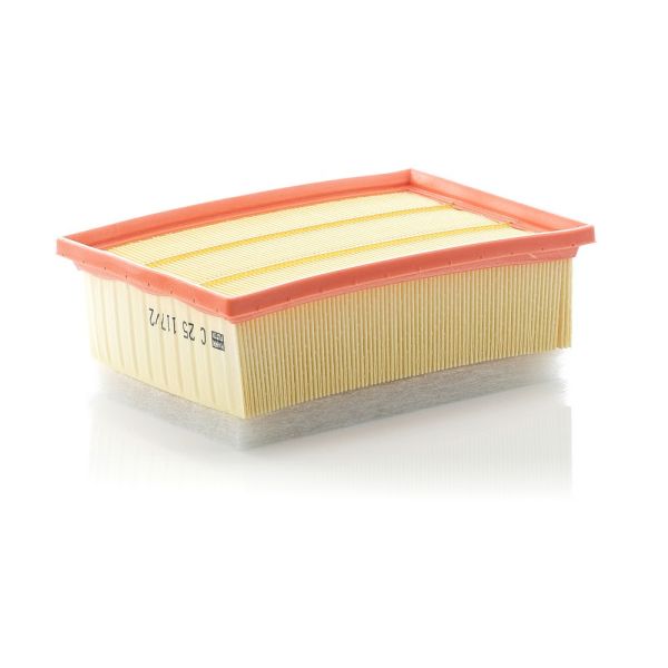 Mann C25117/2 Air Filter