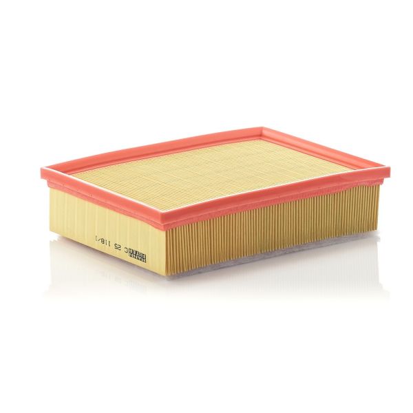 Mann C25118/1 Air Filter