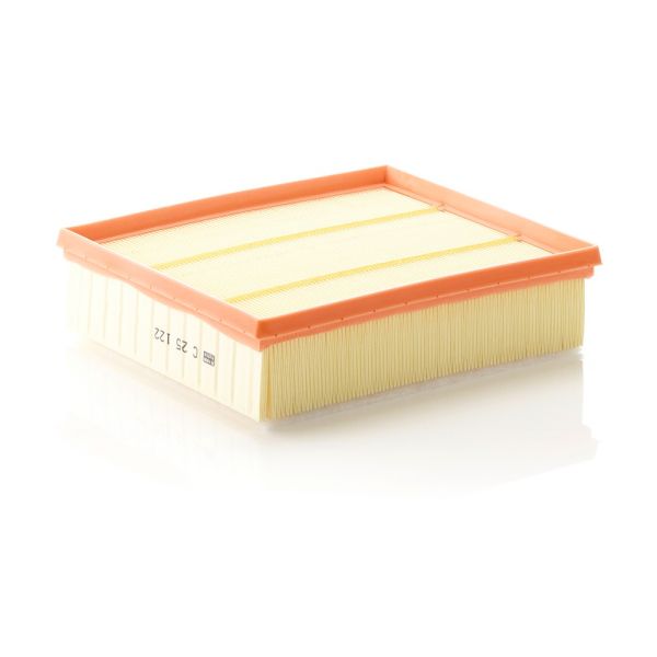 Mann C25122 Air Filter