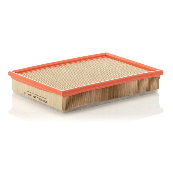 Mann C29122/1 Air Filter