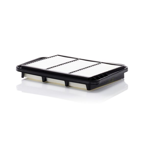 Mann C3028 Air Filter