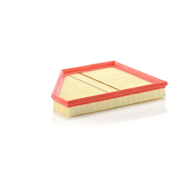 Mann C3090 Air Filter