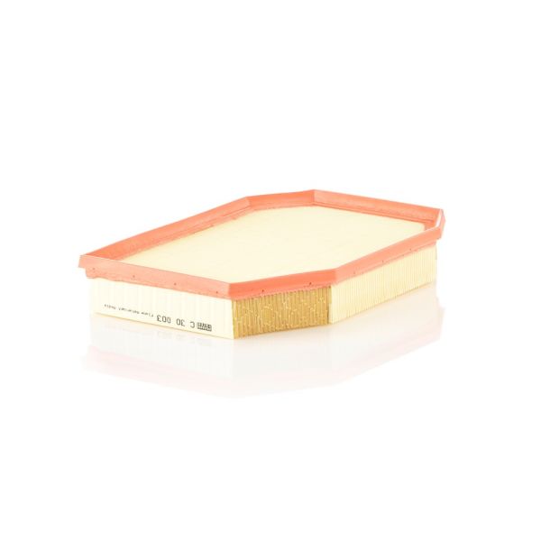 Mann C30003 Air Filter
