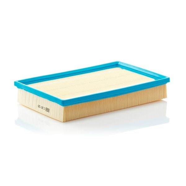 Mann C30125 Air Filter