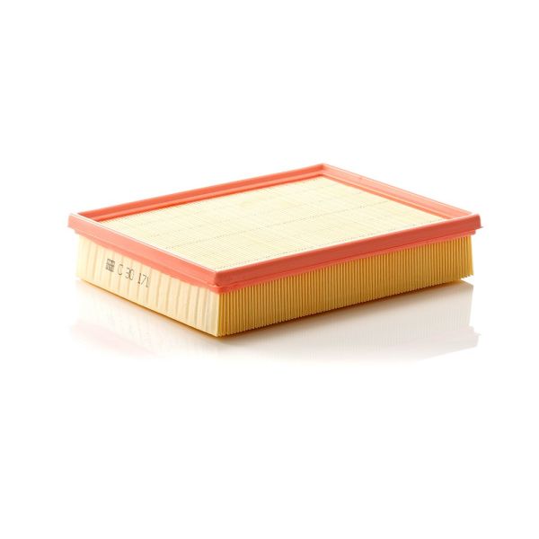 Mann C30171 Air Filter