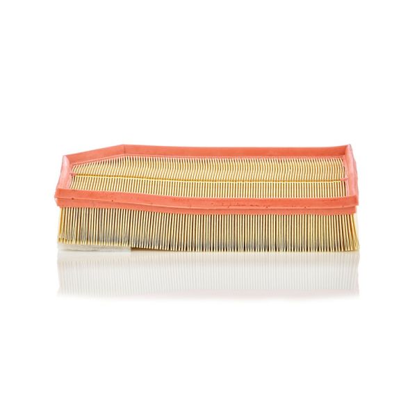 Mann C33194 Air Filter