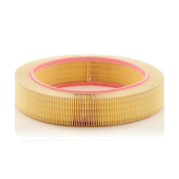 Mann C40174 Air Filter