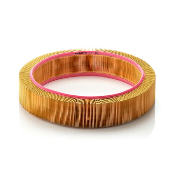 Mann C41173 Air Filter
