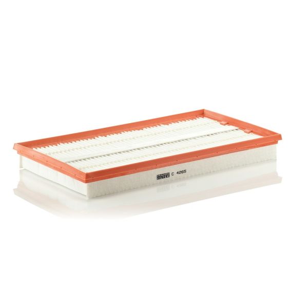 Mann C4265 Air Filter
