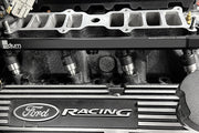 Radium Engineering Radium Engineering Fuel Rails - Ford 302/351 Windsor, product image, part 20-1302