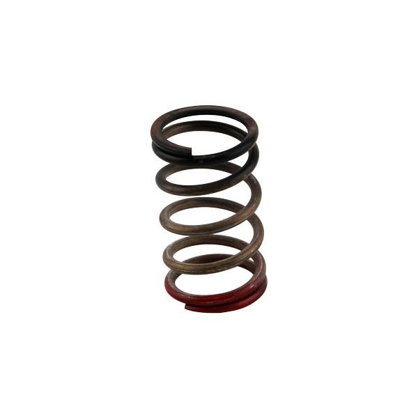 Turbosmart TS-0550-3112 GenV WG HP 40psi Spring Black/Red