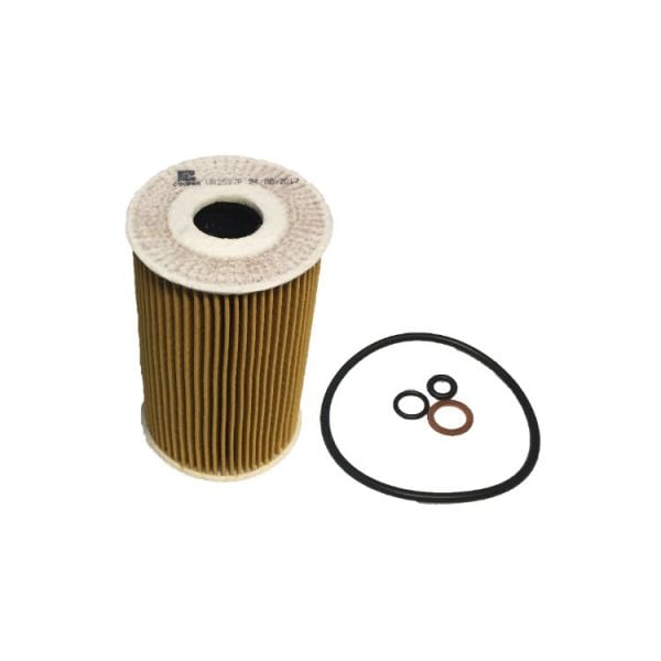 Wesfil Cooper WR2597P Oil Filter