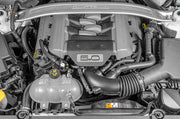 Radium Engineering Radium Engineering Dual Catch Can Kit, 15-17 Ford Mustang GT, Fluid Lock, product image, part 20-0325-FL