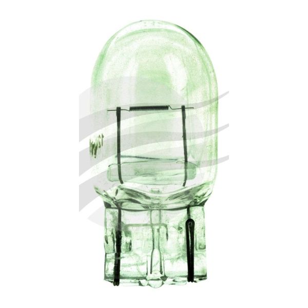 Jaylec GL2710-10 Clear Wedge Globe 12V 21W W3X16D-W21W Base 10 Pack