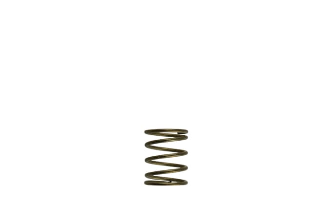 Turbosmart TS-0550-3085 GenV WG45/50 3psi Orange Inner Spring