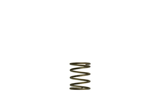 Turbosmart TS-0550-3085 GenV WG45/50 3psi Orange Inner Spring