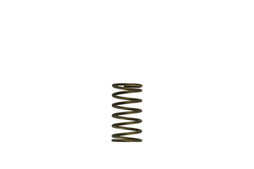 Turbosmart TS-0550-3089 GenV WG60 3psi Inner Spring