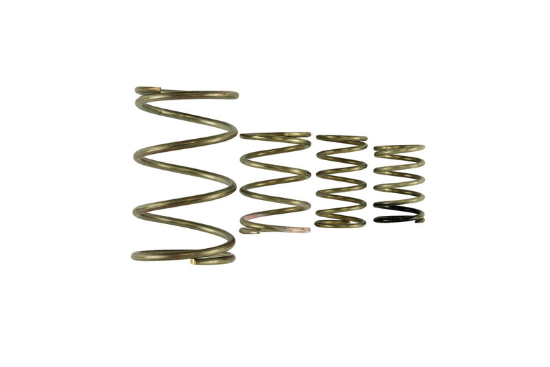 Turbosmart TS-0550-3150 GenV WG38/40 Spring Replacement Kit
