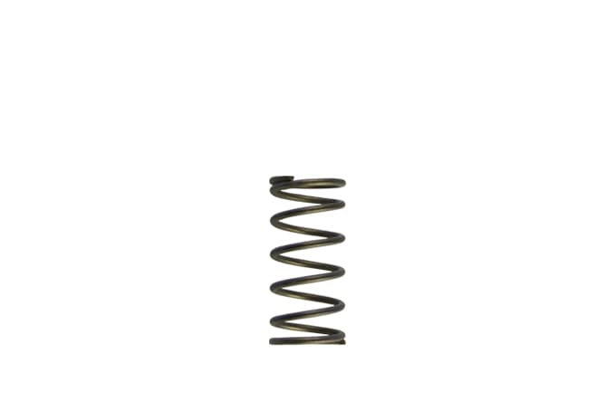 Turbosmart TS-0550-3090 GenV WG60 5psi Purple Inner Spring
