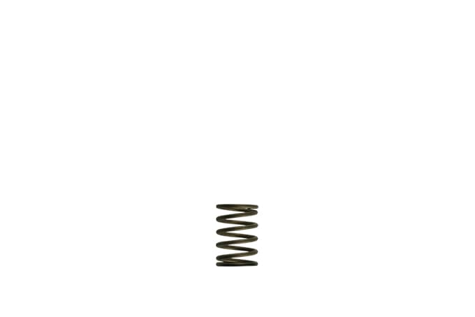 Turbosmart TS-0550-3081 GenV WG38/40 3psi Black Inner Spring