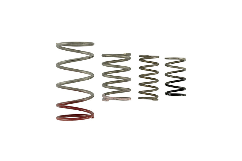 Turbosmart TS-0600-2011 GenV IWG Spring Replacement Kit