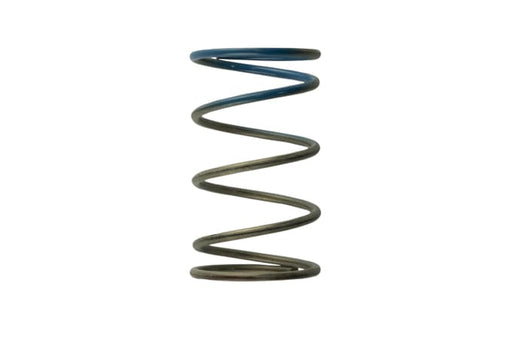 Turbosmart TS-0505-2005 Gen4 / IWG WG38/40/45/50L 10PSI OUTER SPRING - BROWN/BLUE