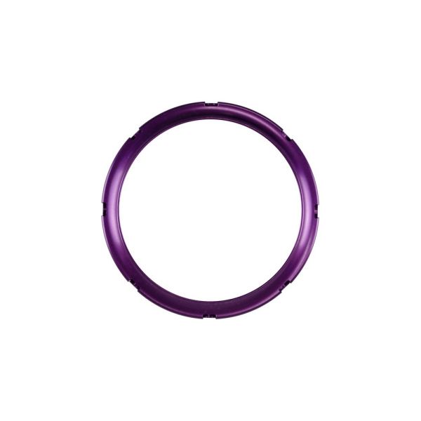 Turbosmart TS-0505-3023 BOV RacePort and IWG Locking Collar Purple