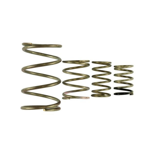 Turbosmart TS-0550-3150 GenV WG38/40 Spring Replacement Kit