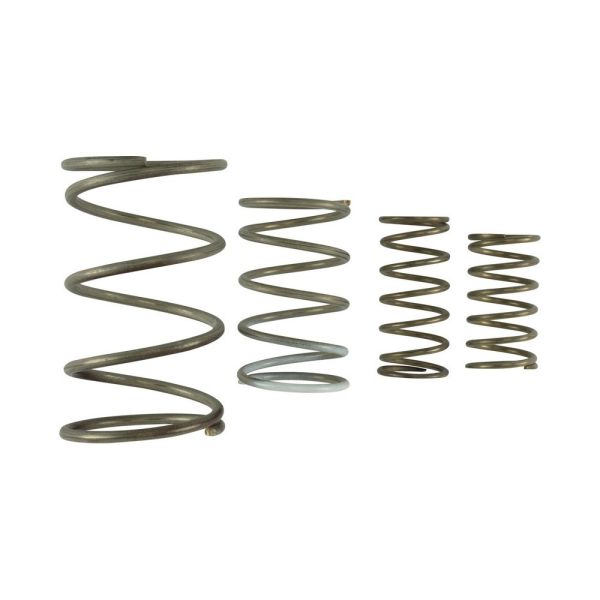 Turbosmart TS-0550-3152 GenV WG60 Spring Replacement Kit