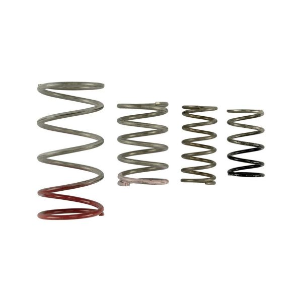 Turbosmart TS-0600-2011 GenV IWG Spring Replacement Kit